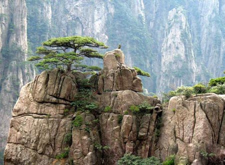 گردش در کوه های هونگ شان چین